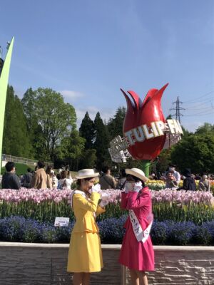Фестиваль тюльпанов в Японии