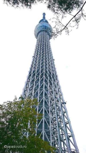 Токийское небесное дерево
