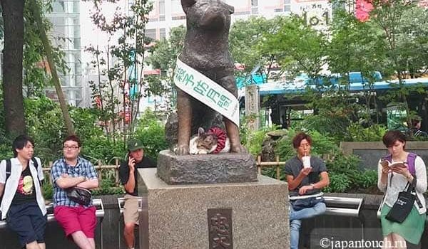 Памятник Хатико в Японии. История четвероногого друга