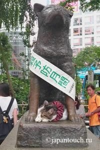 Памятник Хатико в Японии