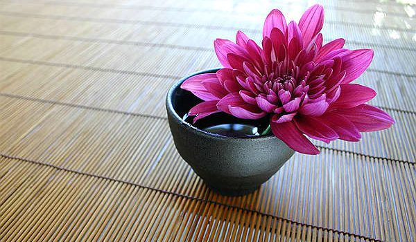 Цветущий символ Японии: сакура или хризантема?