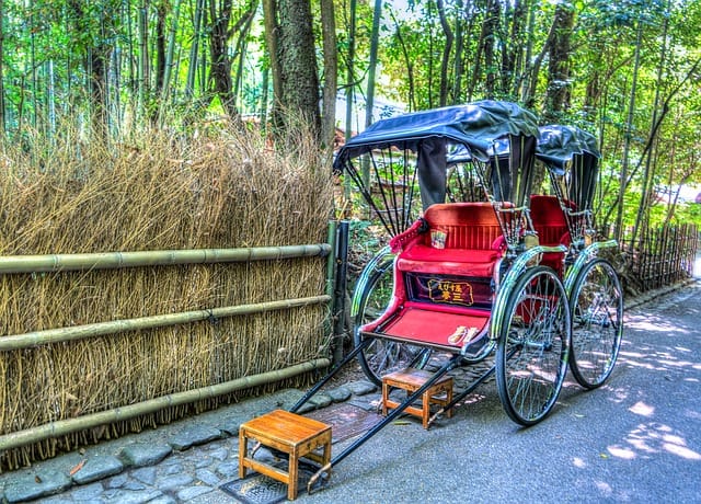 Знаменитая Бамбуковая роща в Киото