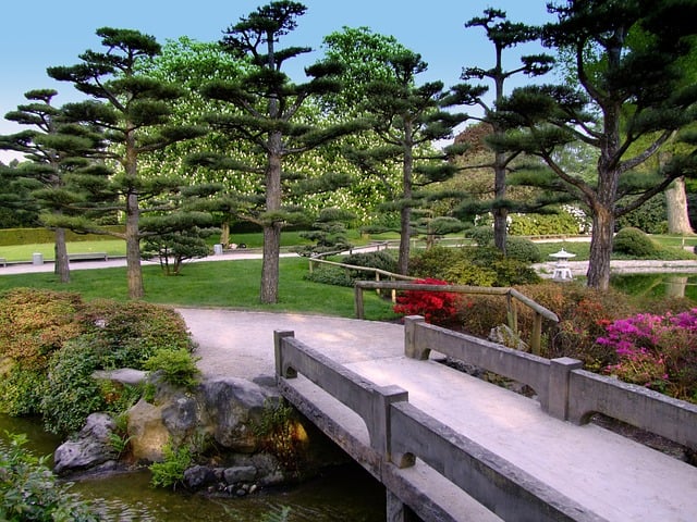 Уникальные японские сады Музея Адачи.
