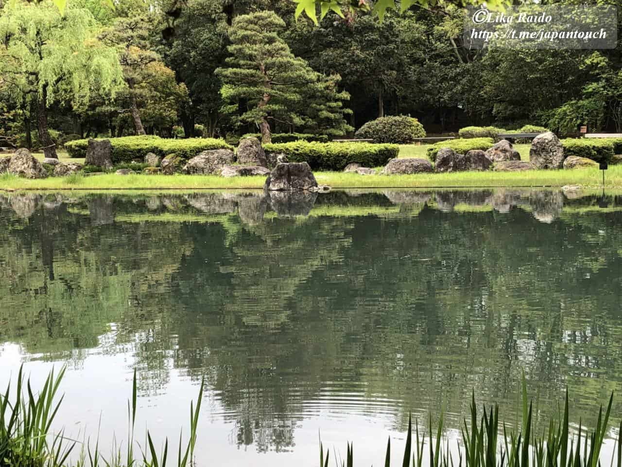 Прогулки по японскому саду