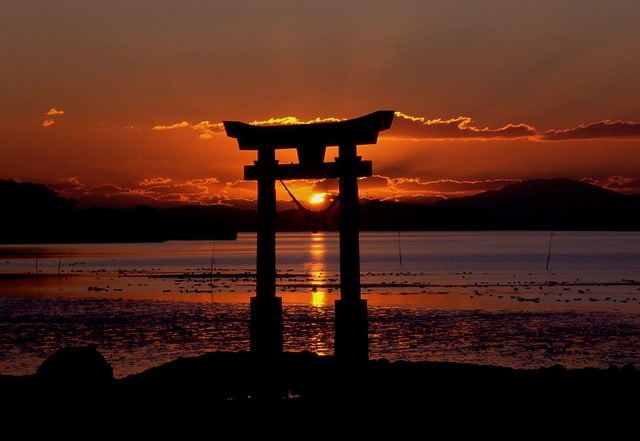 Когда лучше ехать в Японию весной или осенью? Что следует знать об отдыхе в каждый сезон.
